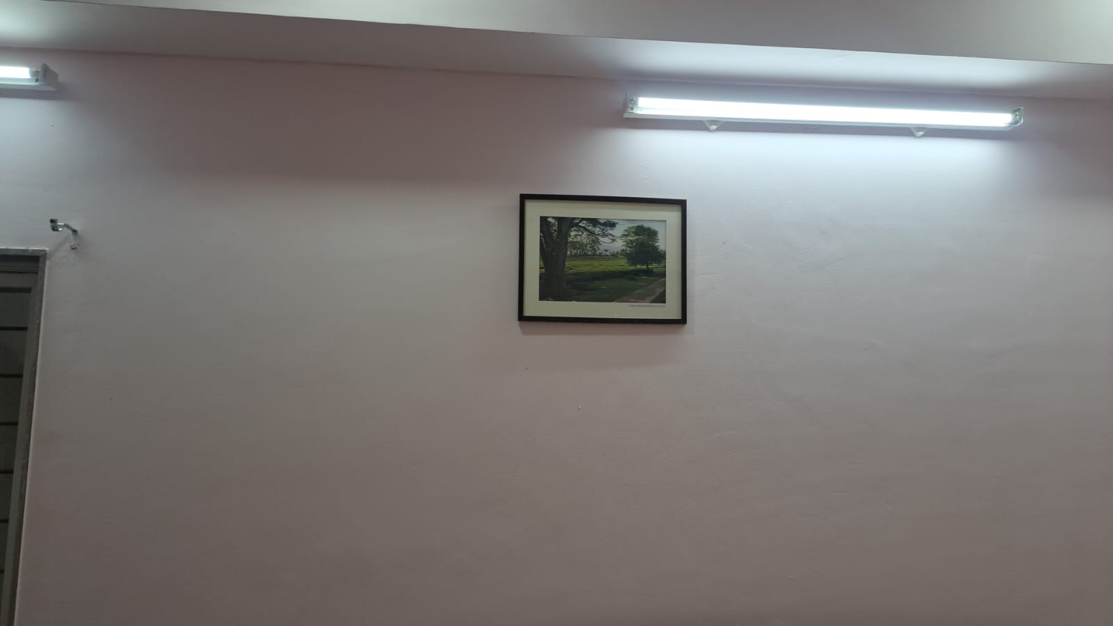 Single Bed (Non AC) 3
